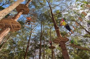 Tree-Tops-Adventure